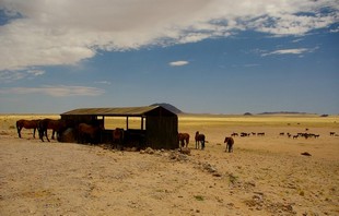 223 Namibia Okt 2006 .JPG